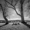 AG_014.jpg