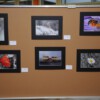 Ausstellung 2016-035