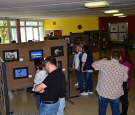 Ausstellung-2019-022