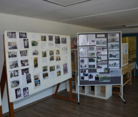 Ausstellung-2019-058