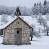 DSC_3648.jpg