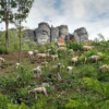 Staffelberg