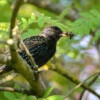 DSC_8588.jpg