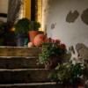 GS_2014-11_6