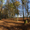GS_2020-11-1641