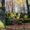 GS_2020-11-1655