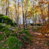 GS_2020-11-1700
