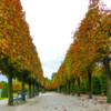 IG-Wien-1005