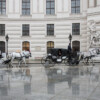 WF-Wien-8917