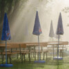 Werner Fichtel - "Biergarten am frühen Morgen" Rudufersee bei Schwürbitz WF2018_3159