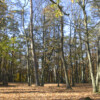 WF_2020-11_1379