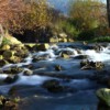 Wildbach