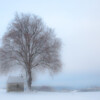 Wintertraum