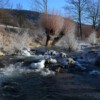 am-wasser