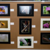 fotoausstellung-059