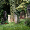 gs-2013-09-6731